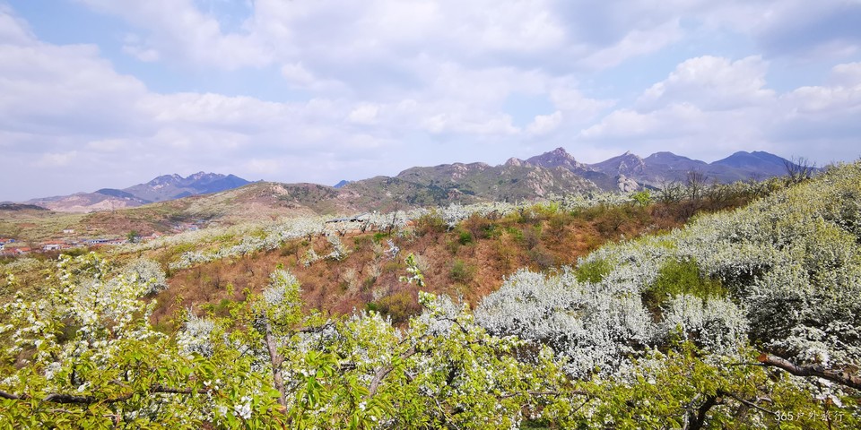 Jaurt890LySYrrd0hj8Iog97xMkubBNPaf-4mw5lj-gCKWKCljfrcys4WB7zzewo