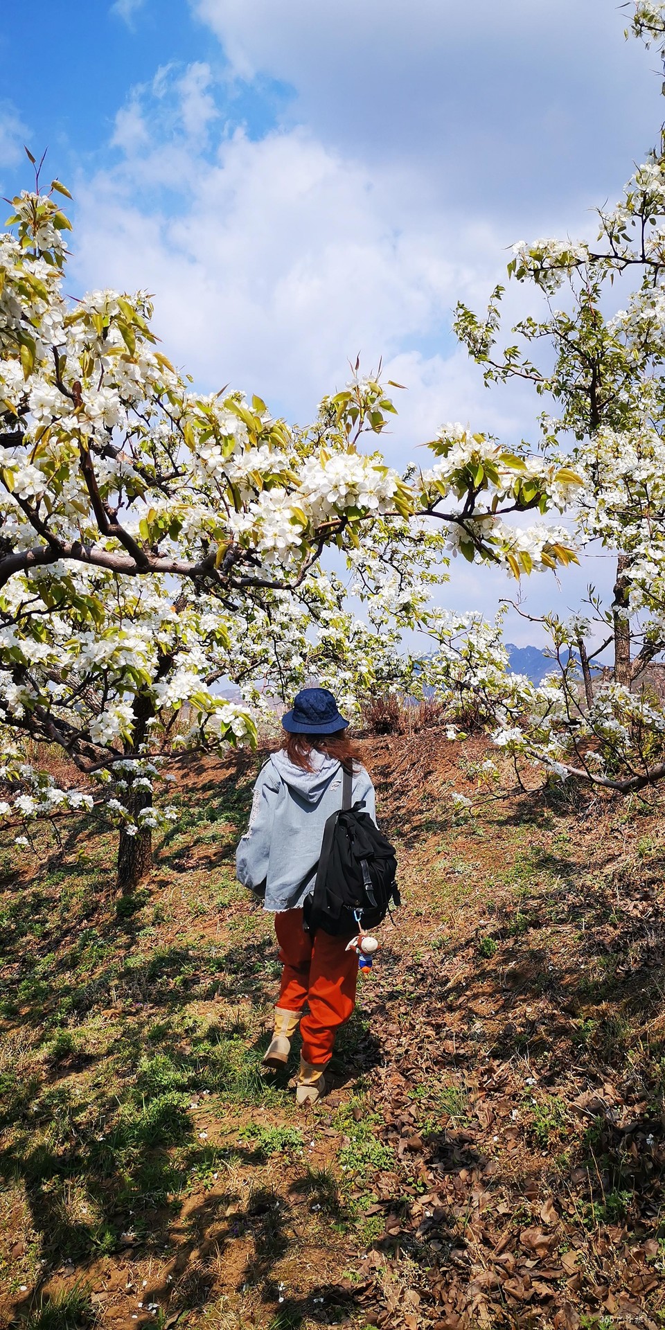 4op4ySKGCPIYUBSLsZtXhiraRDl5urDmiKGxgKFgUS-clhqv5iy86pPnaKgTBjt2