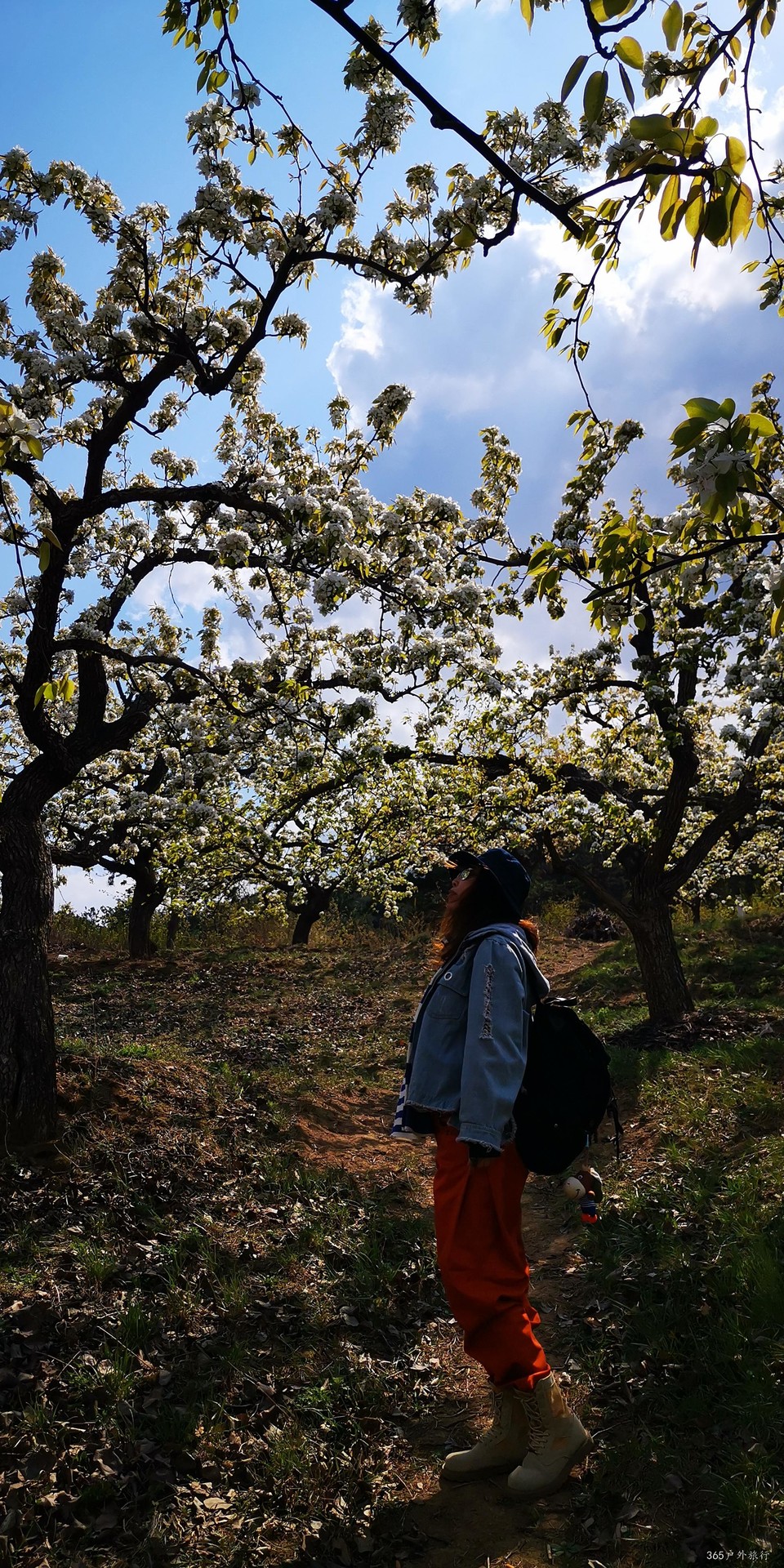 DfKKK5QehGyCReB_vu0K078S78I65zsuP22-bhrOfIH-6JAXJ2RUL6qa52RPnte0