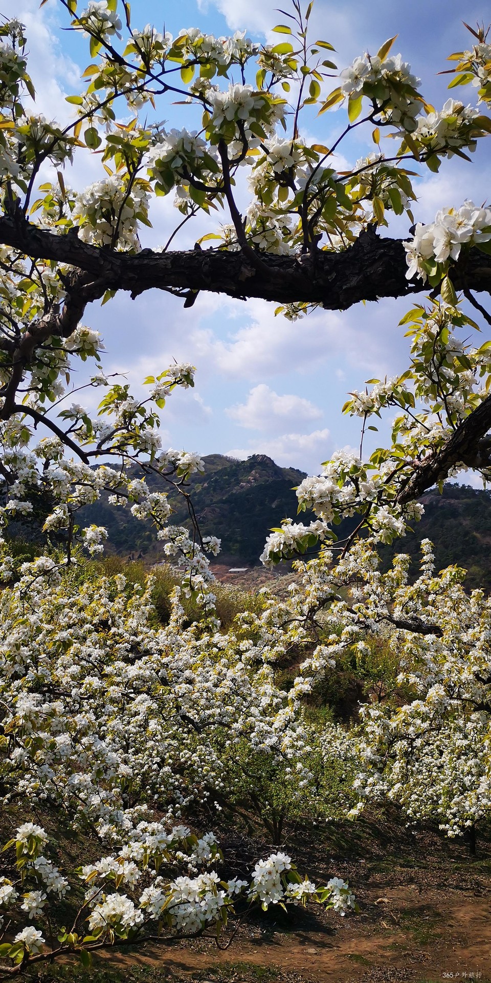 5B9QhgHPlA9v1H0ak2rRnUBgbPC9t1mhOiFSHJE2lrUJwUFOPbkWxryA4wX3VPCp