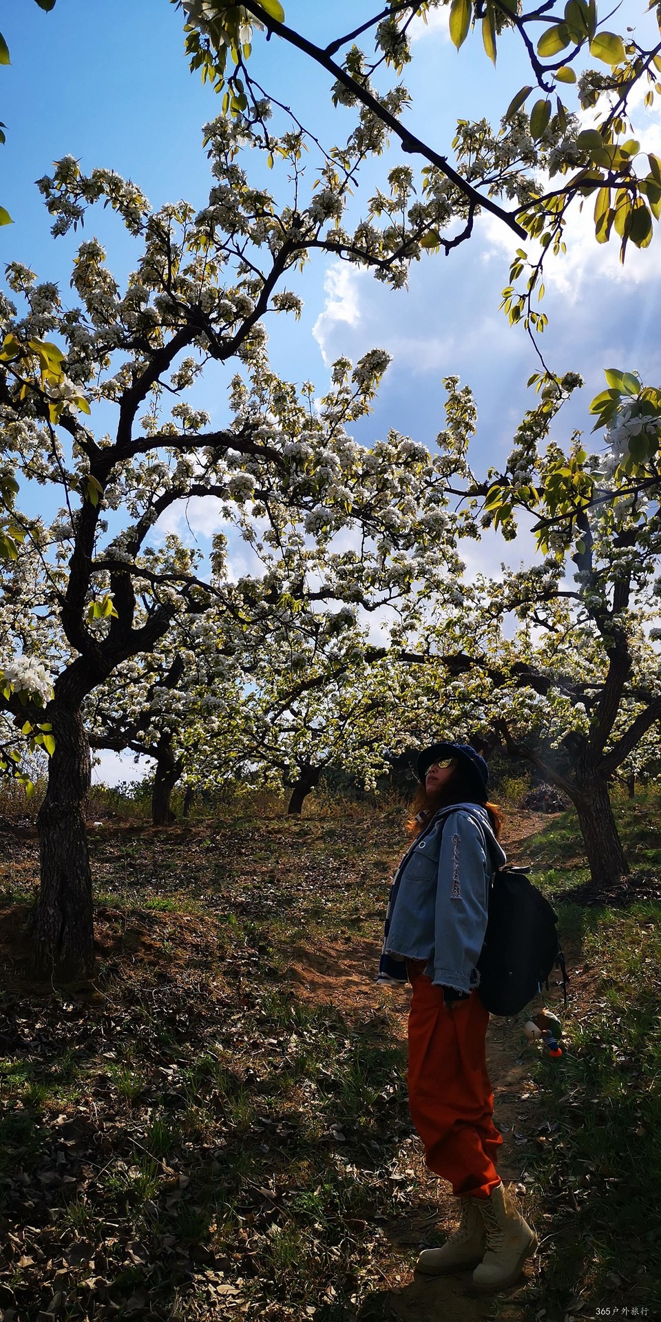 fLJ1-tflD2GfJlgSKaA61ZZAa96FLtWztAmBKTi47H90yGdaIDeoSLjP9OvGXrkj