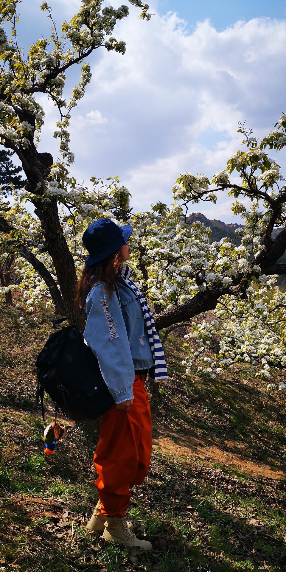 E8_NSt7zGZz4M3kp9dhVeD0J_fAcDr8YoEdorlzhYJYpXoZEnIo58O_M2vtuw-ub