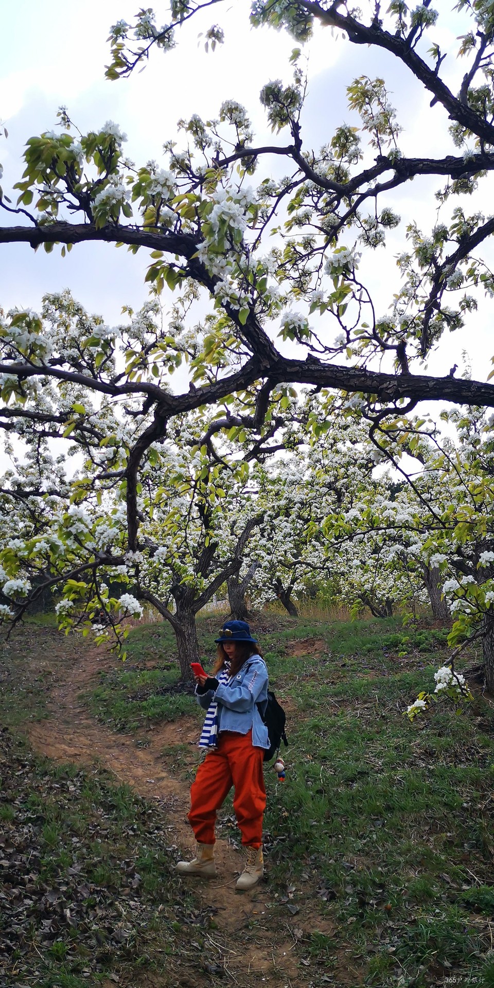 f3jbUdZPj4c32_zNG5xB1hcoQHF4gja_NWx3-pI1PYYIG1Qp8zZMyClzaOgj52oP