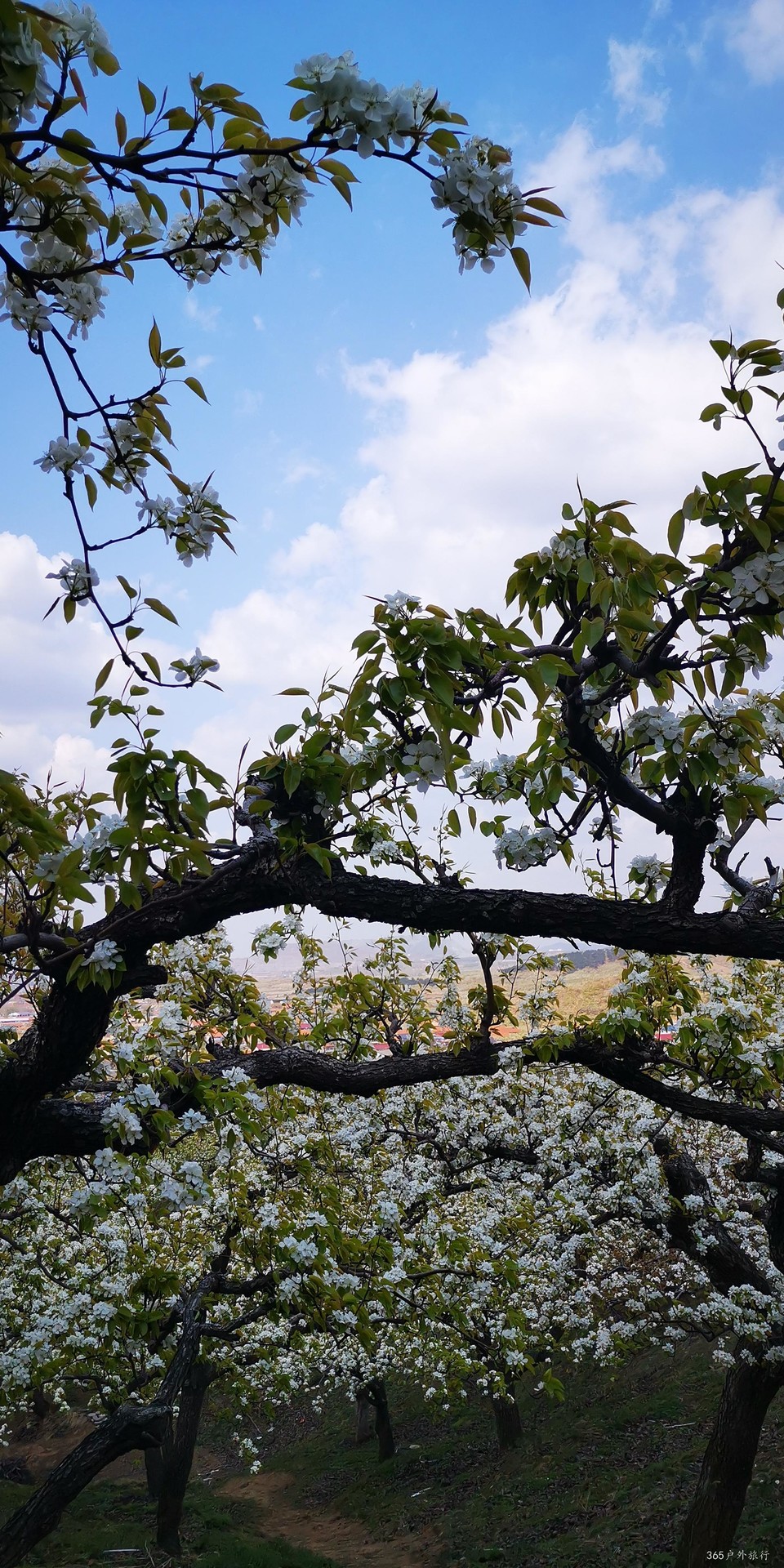 ArTRCp-wDxsPA4i06-XFWFIjOb3C2eNJCZVKpgMdM4bQZlqSS0WXA6m7l8JfkucW