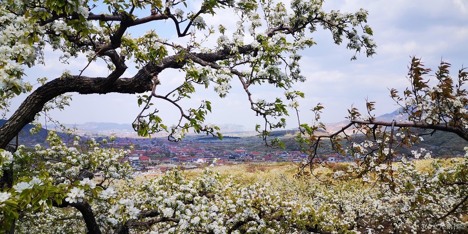 spBQQhDTPWMbDR_JT9VoqN44X0etgSIrnlhY-hD-K-J4x3E8s3Zo3Iz3F45GUR2d