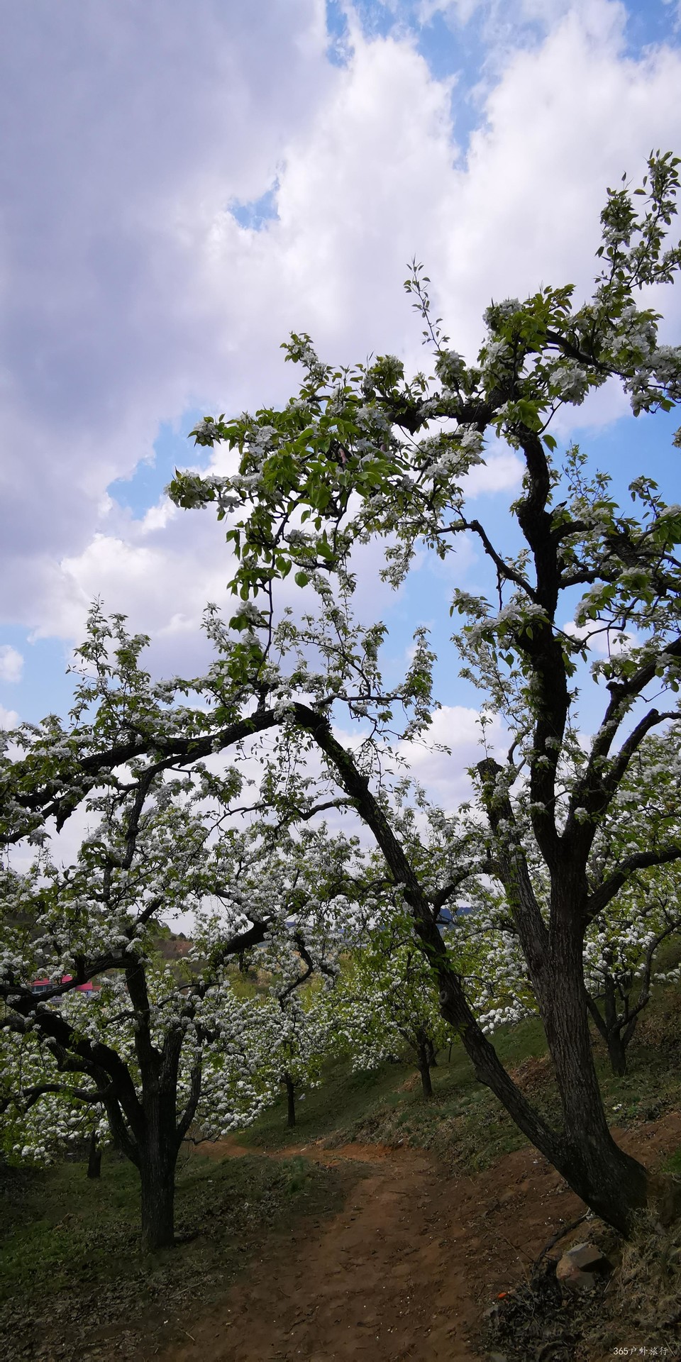 Jaurt890LySYrrd0hj8IooS2Wue0WkXVFInViD7LAkut-NkAItLYsBaQMW-93Hts