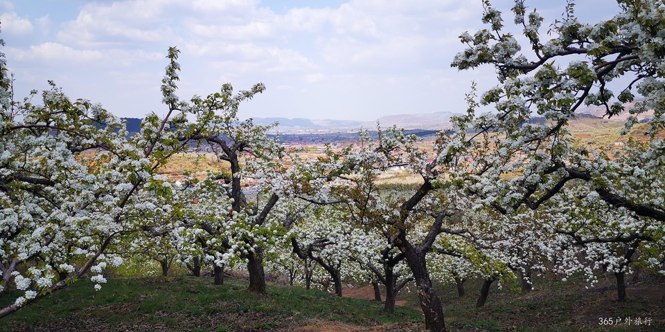 UlF0mDXvCDtuTS0-FuCiNEQmx1eZUlq8nNkueqIGJ-spwooshnxFX9lW0c_VlB9F