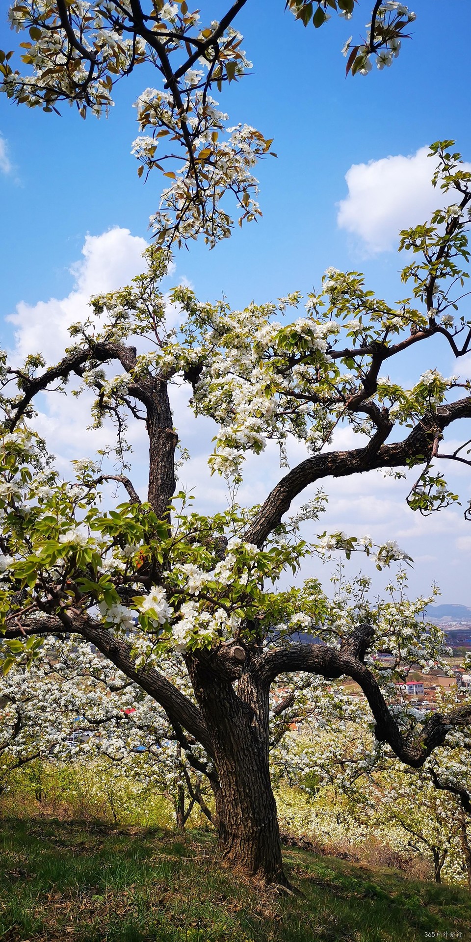 B36DaA0CqdyJKTRbhmtAOua33hw1TaXtkJstoJYJ7NJmNDlyyP-5Dyt4-2j9GE7x