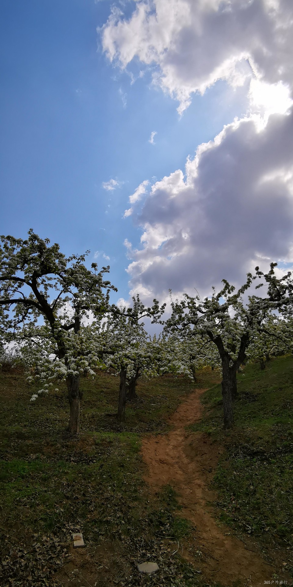 loeUhbrI8N5jqPLPSReJ-epeWDGONSesvP7rz5F1p4HDhYta1gCSXGUdF7nubCn6