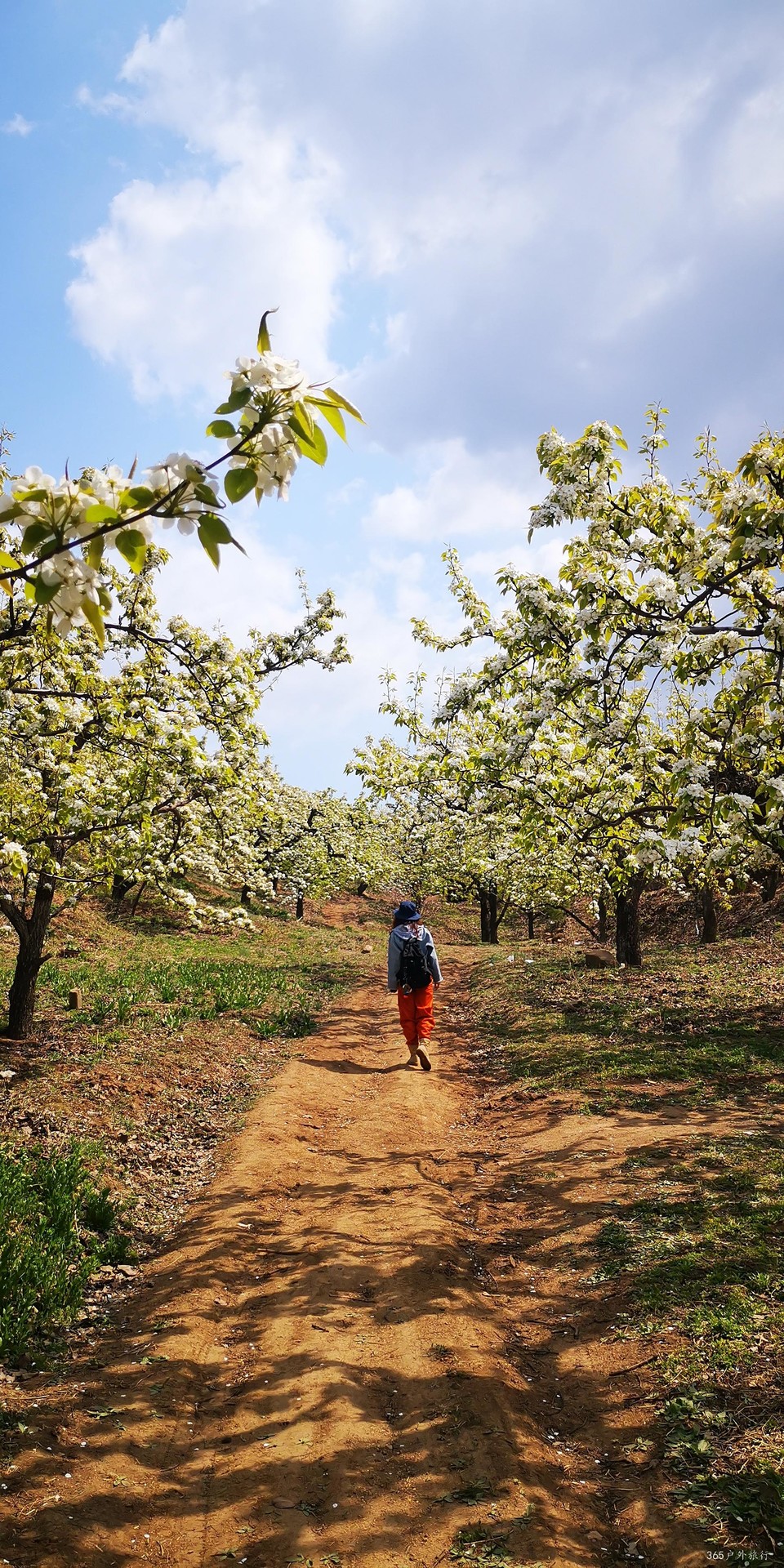 rEICm2P_g1Lwov6GR_hsh_B4W98__RKO8SXAWTdJ-uSA01V-kH0G0s8DgEoVSE-e