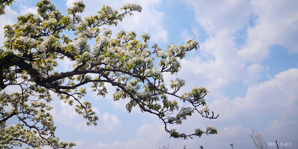 mrg3B8VszD3jx1zOFfeMO3qiQ3AjBS4Ko_6CHFrG-R8EOeBguFkI_15l_8z9yCWg