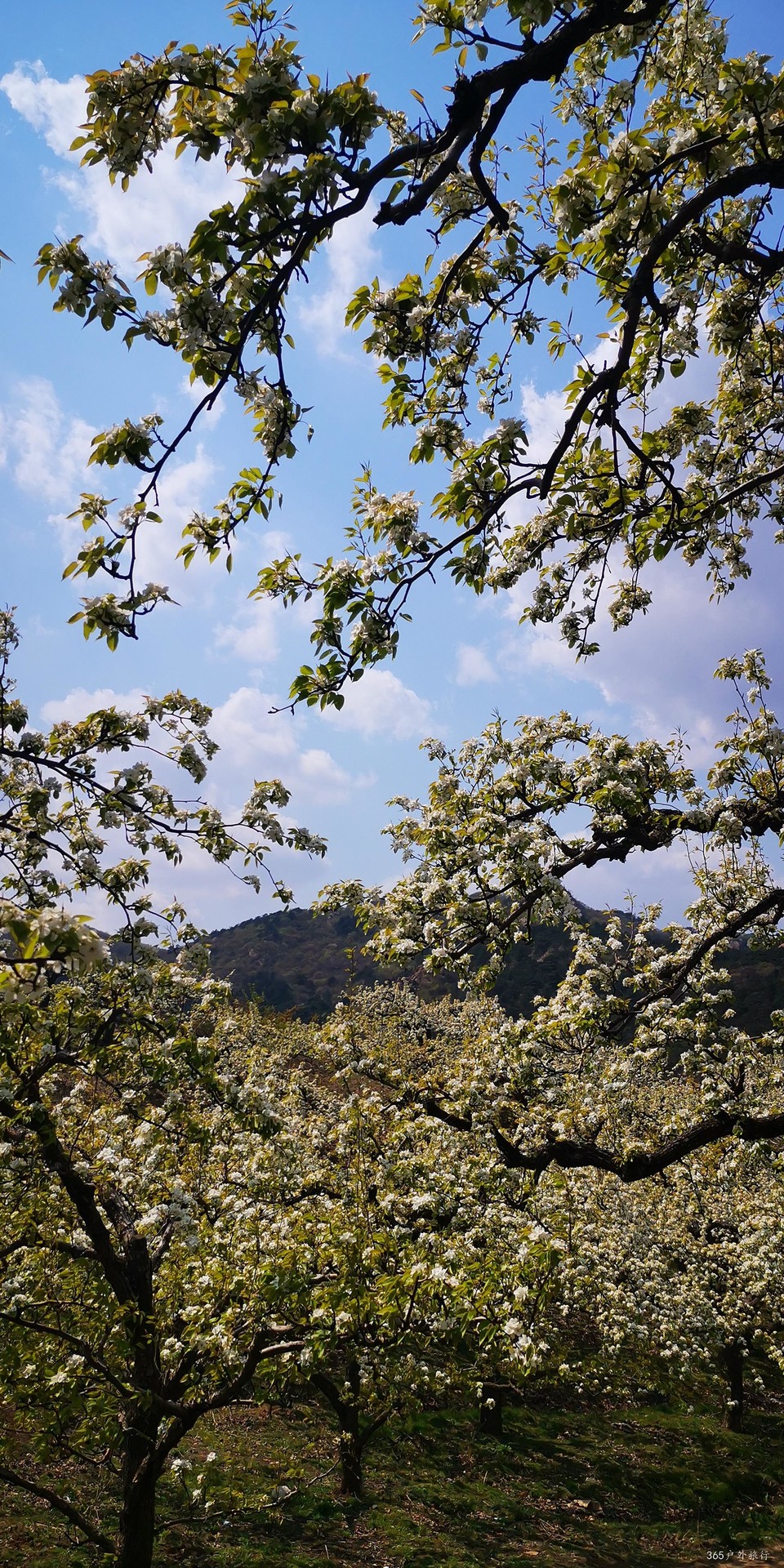 EL9zDoccyZlhnCGBeTUOr-s3cw3u6VlWlmJJyJ25xibA_HMJjC3seIN45wuv-7t1