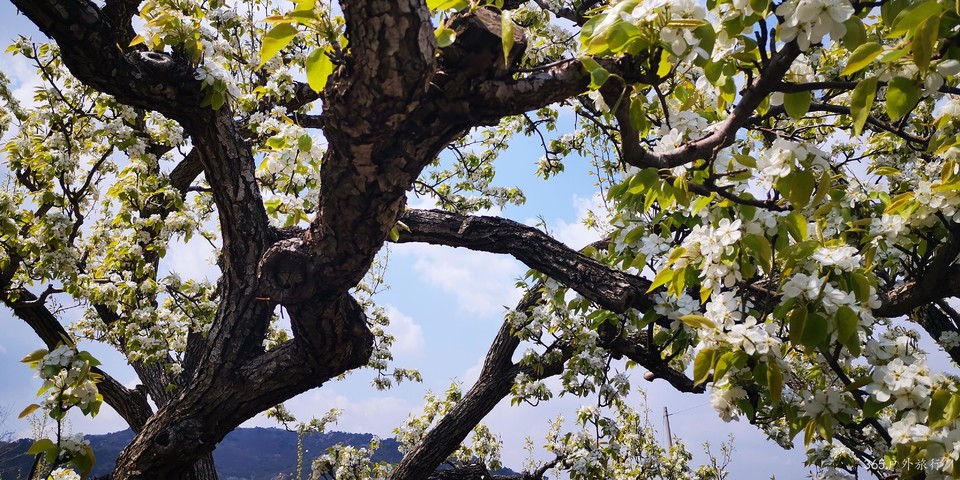 V2Xo7sBSTLEtzfv6yFVPi1PtebRaFU4kvDA0_vuzjnvYvyfYGExHZylRs2tdqZug