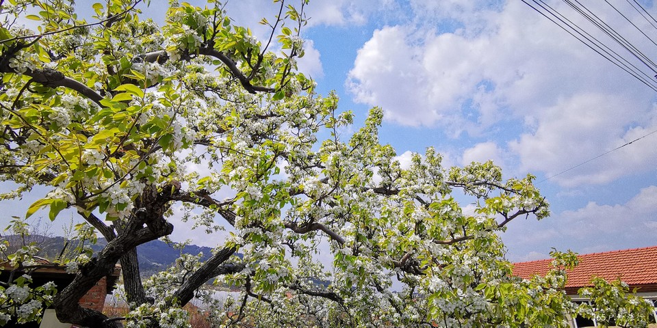 TwNwNsBLsc8pLCz1gJsRgl2Di8syATRBWLF9TYKPw2pIL4LwhRGhAJwqkCbi713f