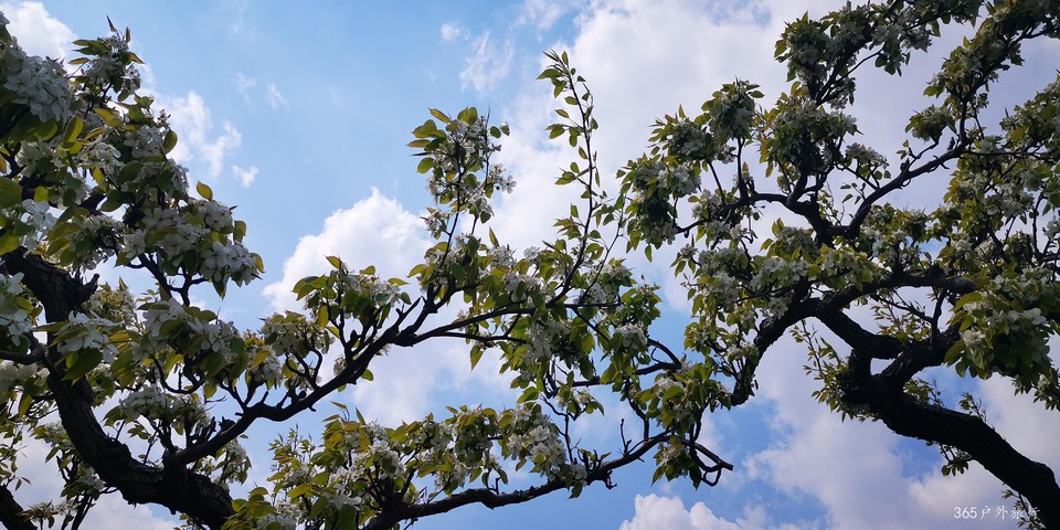 tpseIGx3wAsJofmwV62NEufiL2T67QwsOVgKIxlqgxEqiHXeYmea6czSm9h0pBpI