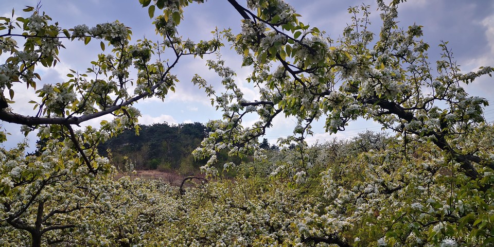 NfEWj9A0sTYFwtMgvYnbVMzHMcLaiqUtzgNrA4yBVkCKCQT1kg4sS6IY7wCScv7_