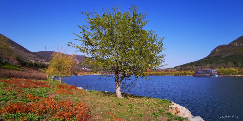 PWLf0ccHCyMM1KnalnaM3WhovrOLD-Mi_uFrQI5M_QO1WddFUkbX0qw-FHZv75kH