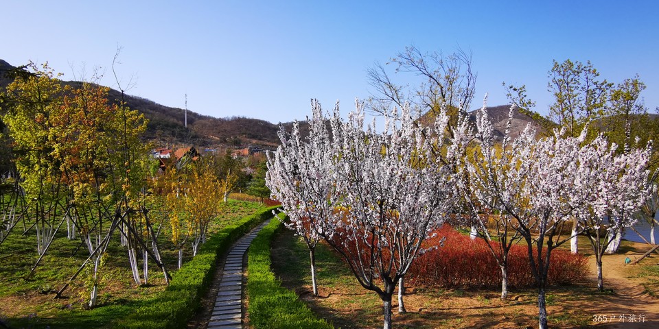 1x2jA3PX65lCc-NsbZ9LPqcacXEgxYYoksMlNVy-wPLNs4tkNOQ_d6CDwVkvwdzt