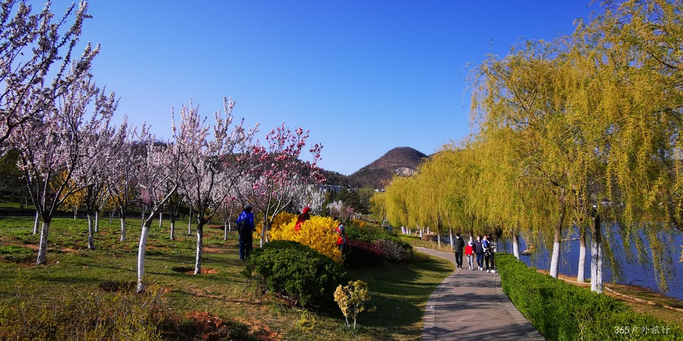 QvcUFGdYGwZwj9ZbBSVQpiVjcz8ZffrlLGJjqNsEeLuK0ocDkdAmTNIKJ9Ood2t5