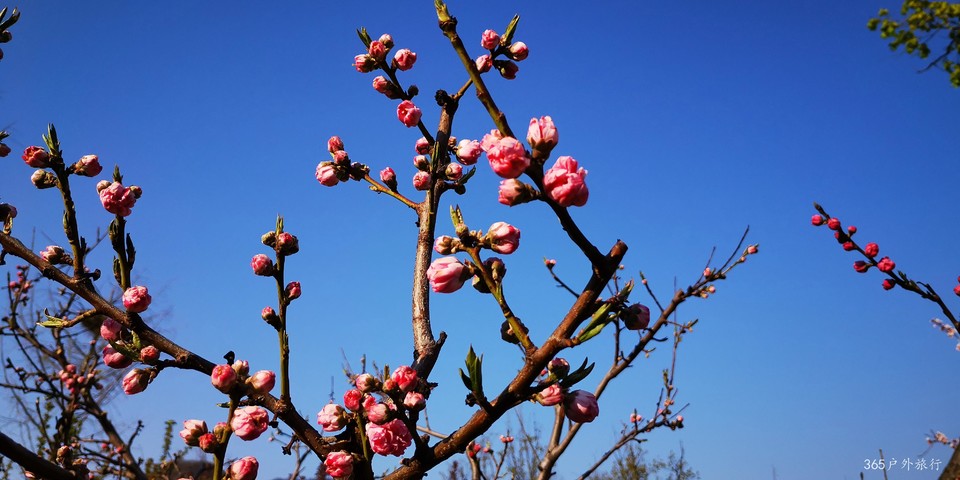 iof0jkDJ0m34jxSVLyIdvxt0Rrey_U2HXWTORxl3uAyzzSQT5bdn9ulfcrvM4PPj