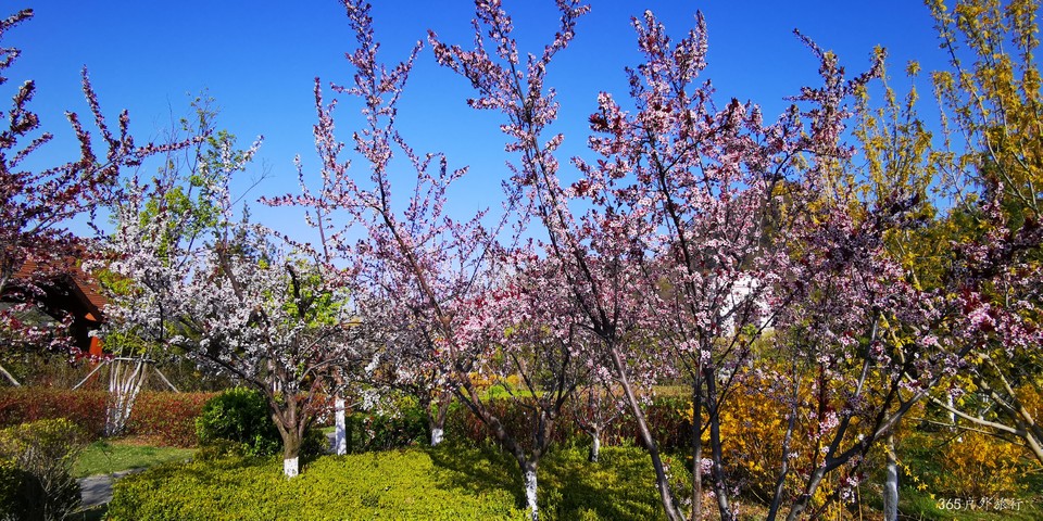 PhQpx3BOK6x2_4GN4tLVOuYmU2RY5AwkWlrrvvVvJajYAk-5VGwkhDg8SYx9Vh_z