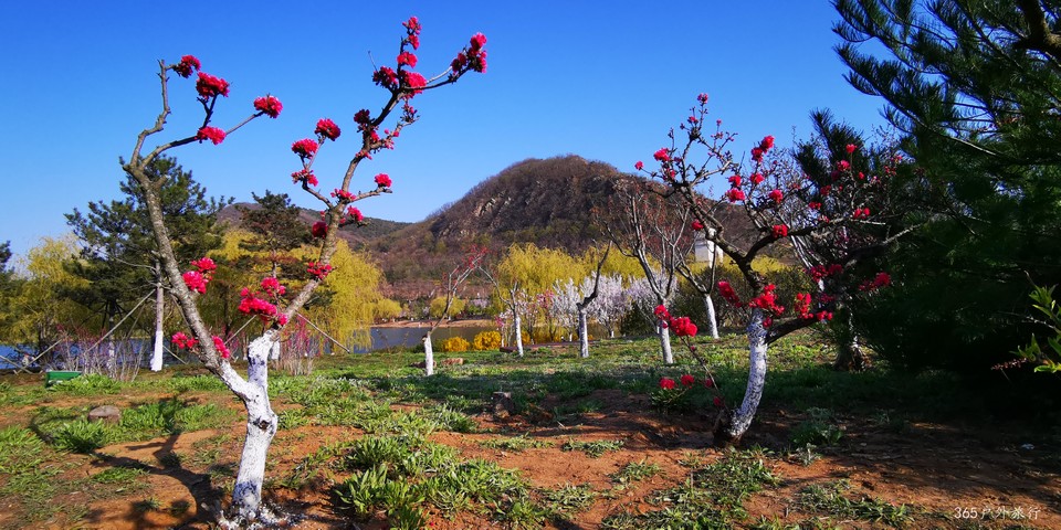 FkyFRsUJFTeh4p3AlWilaHeZ1uYNc13Go1QUmcmuOaOLTqjqQa0VK-wxCsVe5ZG_