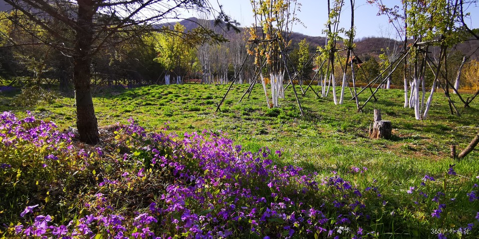 wPpOPoUBL6SW06Tz2hrYZ14HjUdLhUEQylE4VALinbYHLabzVunZ5HCP2QjokUGT