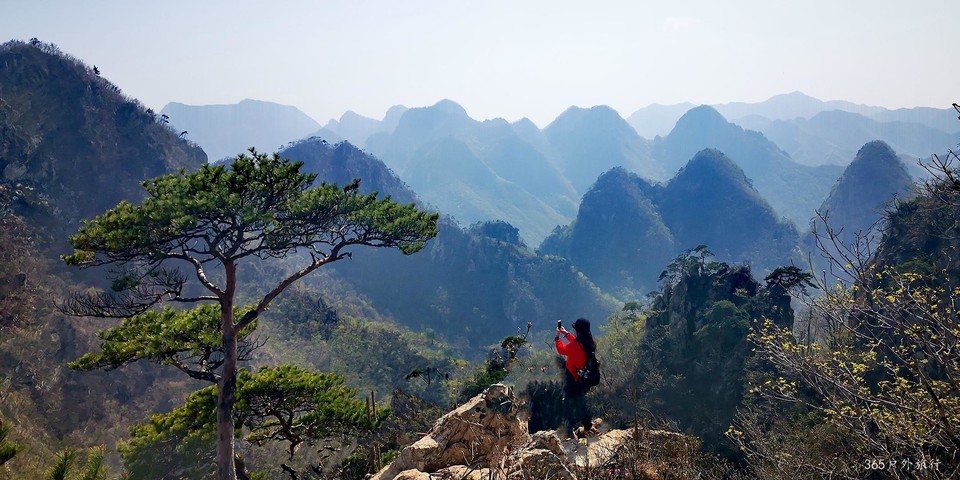 IMG_20200503_152406_mh1588517433341