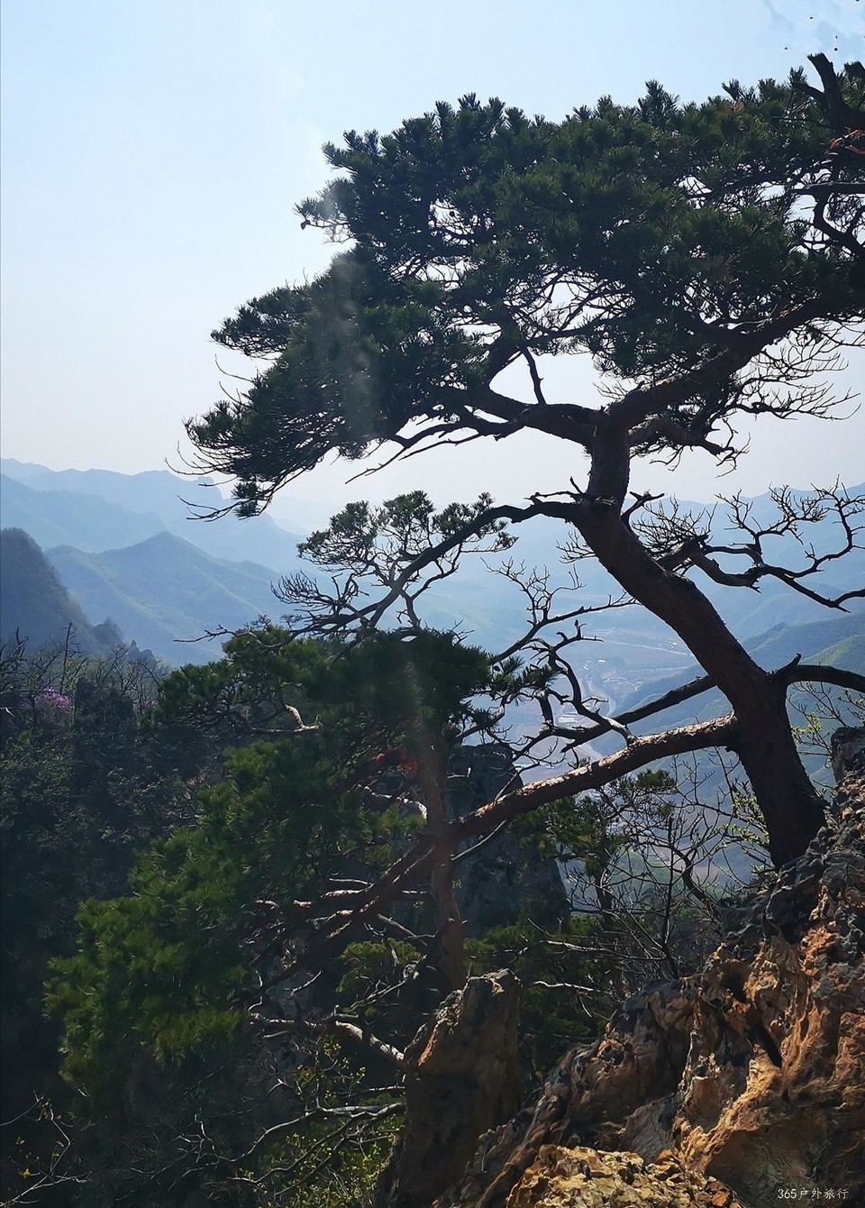 IMG_20200503_221833_mh1588515557995