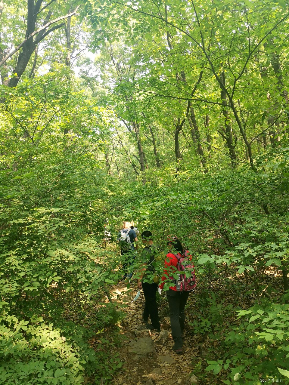 IMG_20210522_095554_edit_806011114419719