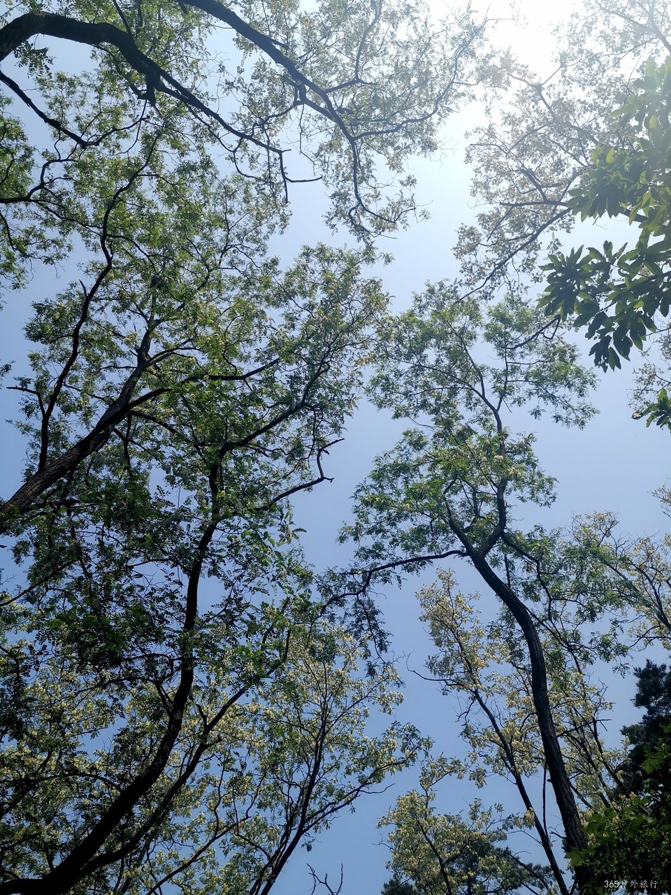 IMG_20210522_101212_edit_805697233690079