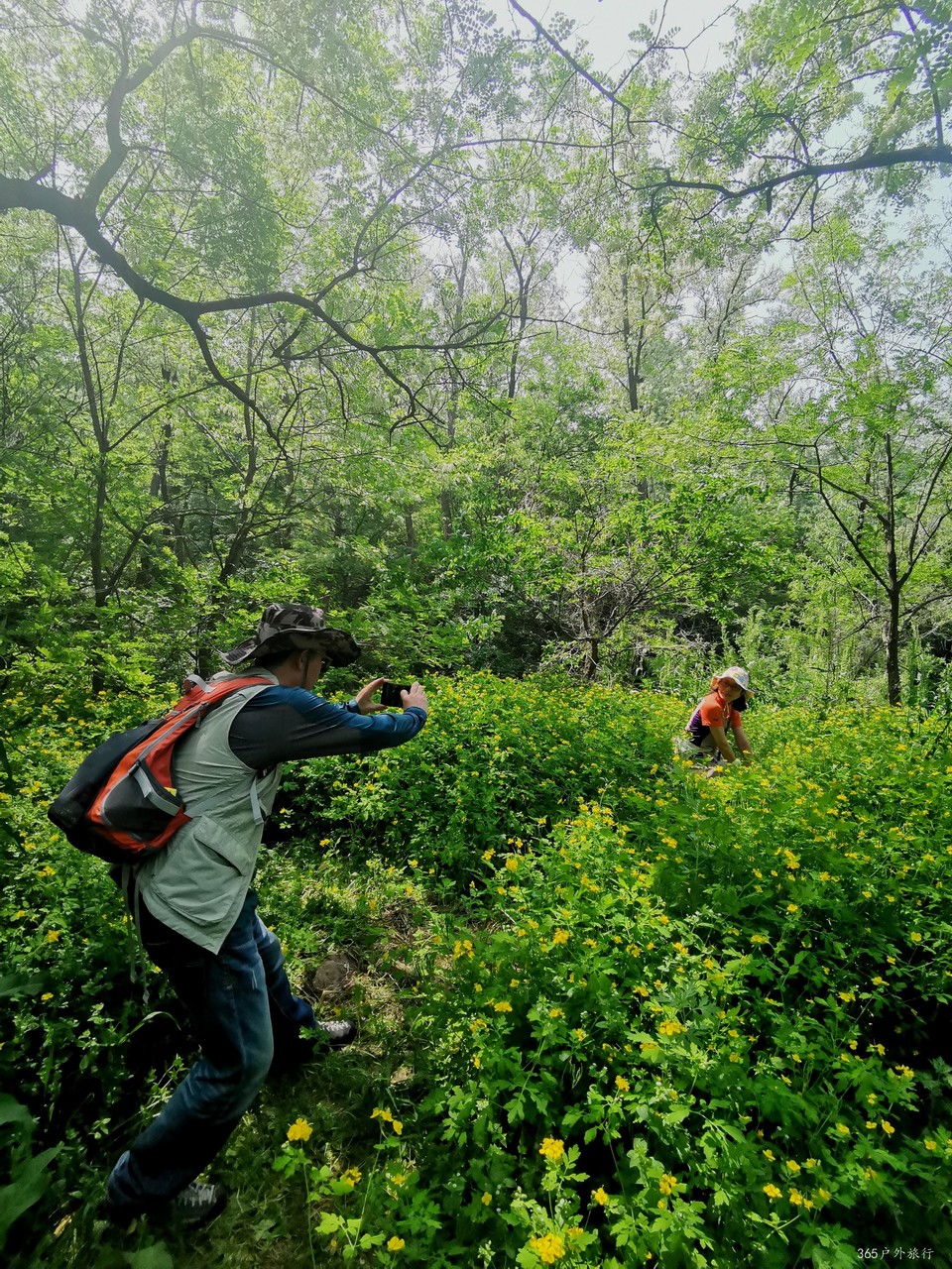 IMG_20210522_102658_edit_744670728262412