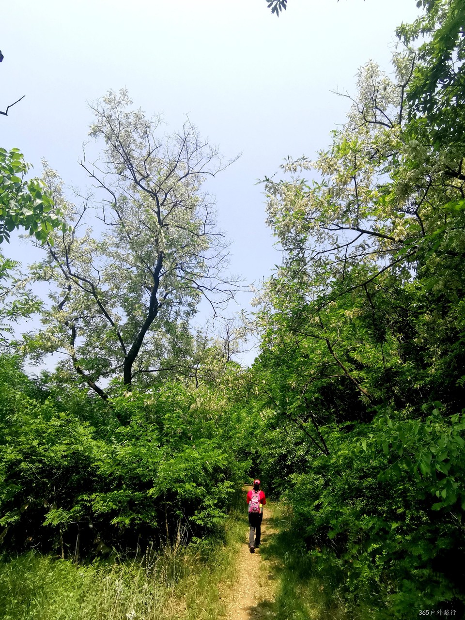 IMG_20210522_103029_edit_805822597530685