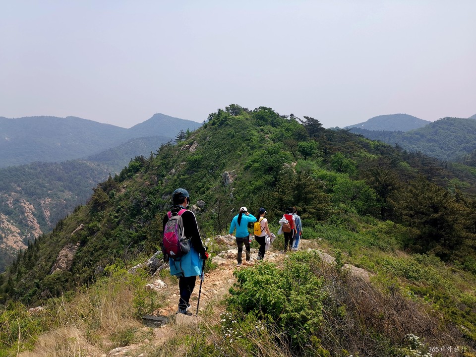 IMG_20210522_114335_edit_805747911513509