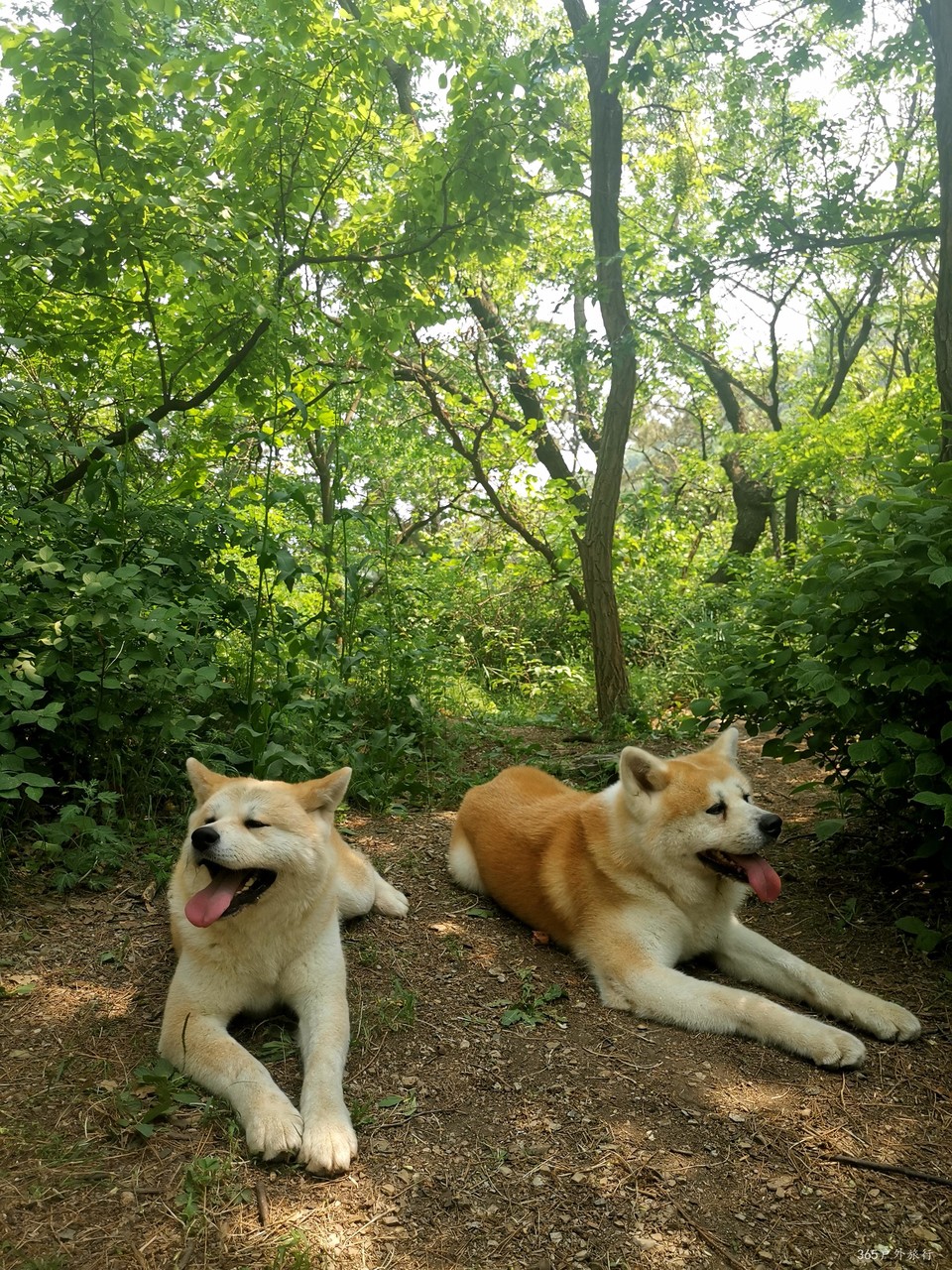 IMG_20210522_130512_edit_806328474541025