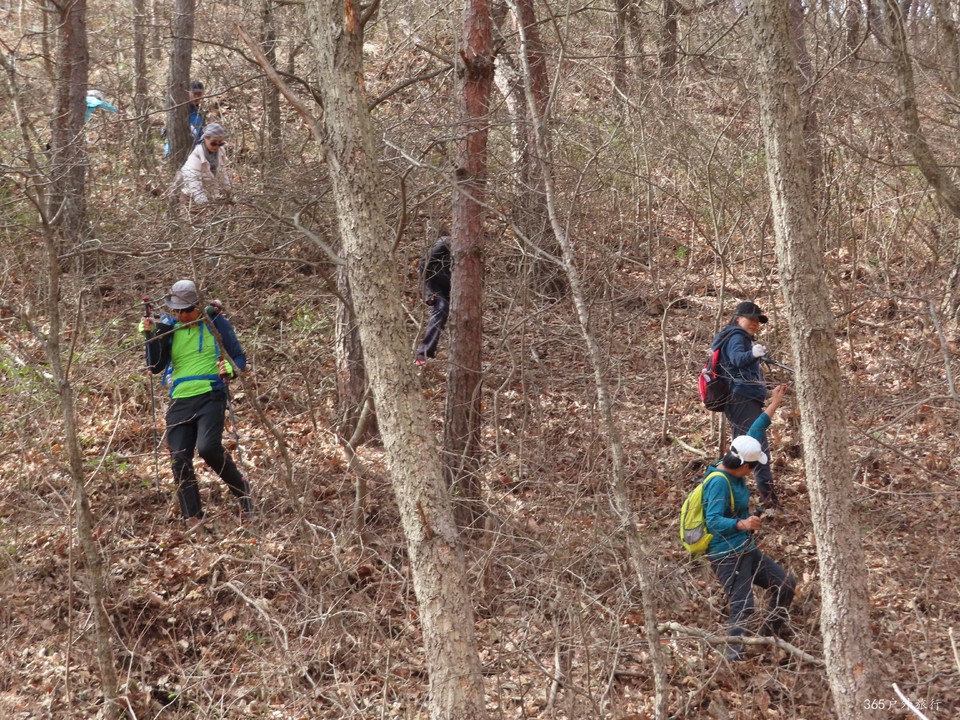 20220413093119_IMG_3315