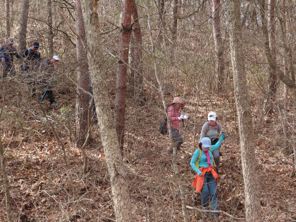 20220413093406_IMG_3316