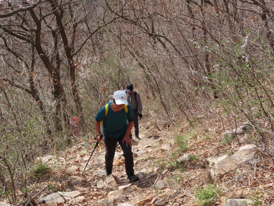 20220413114713_IMG_3317