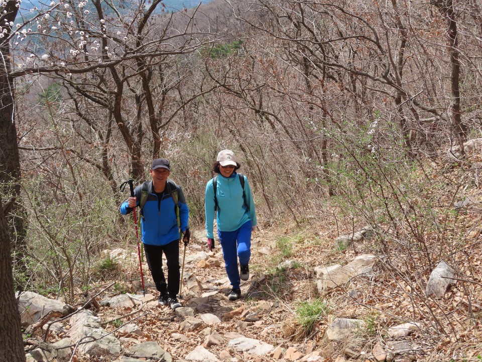 20220413114816_IMG_3318