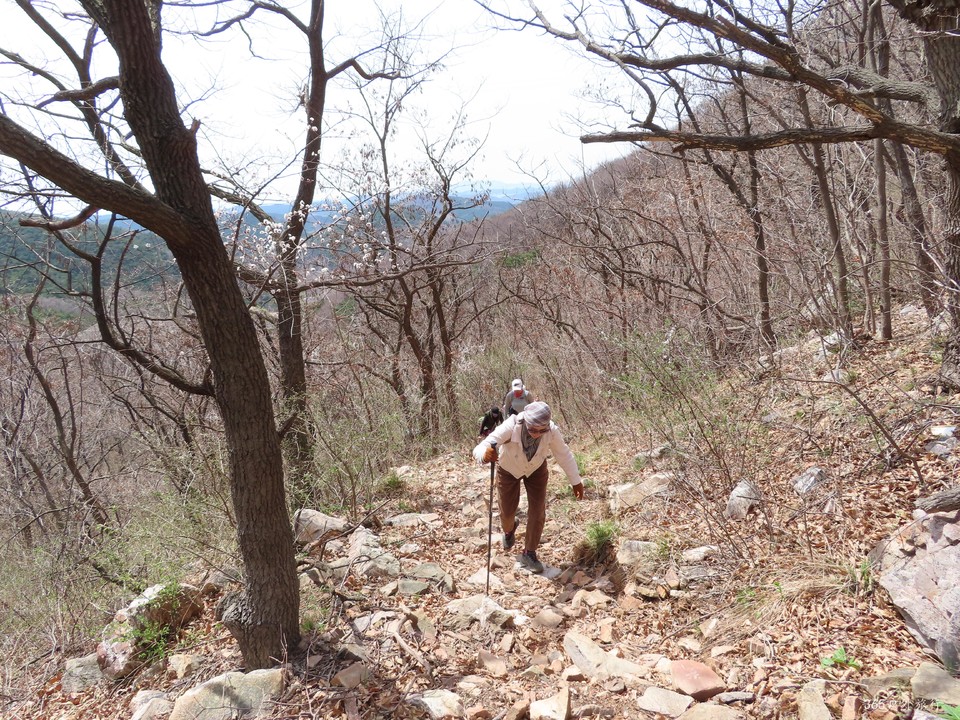 20220413114831_IMG_3320