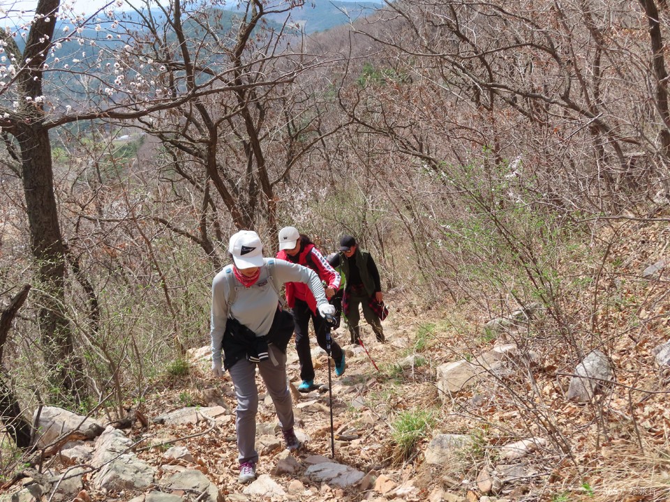 20220413114842_IMG_3321