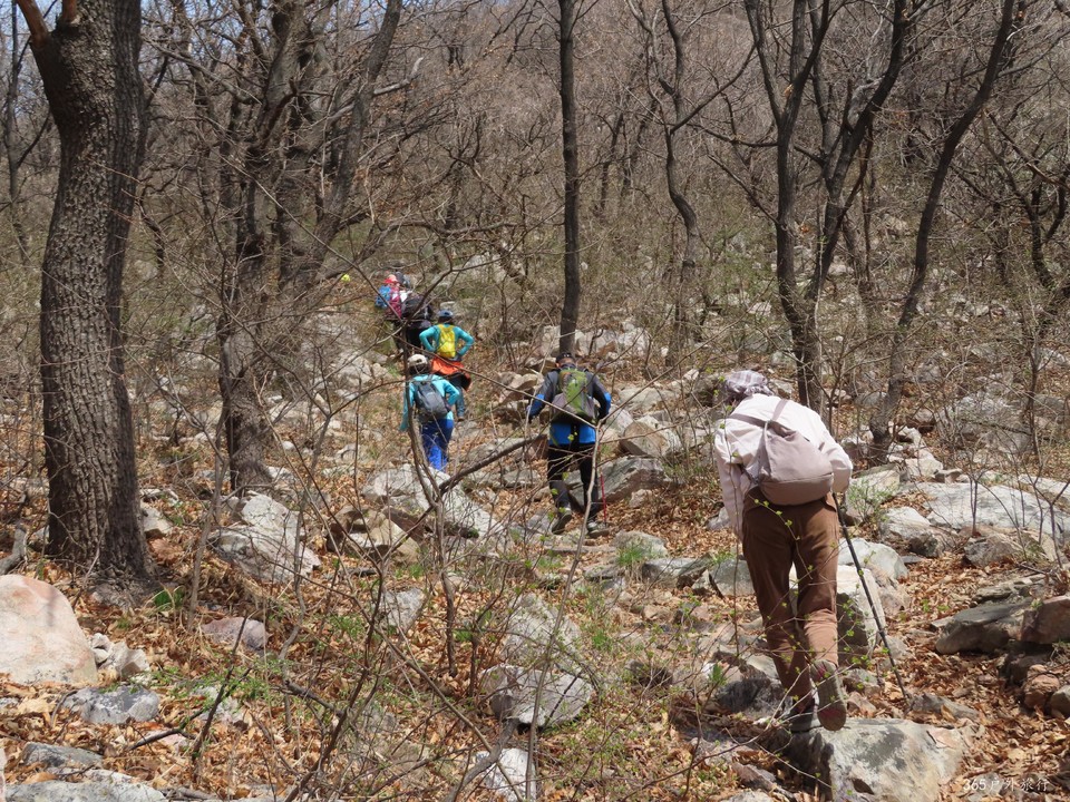 20220413114920_IMG_3322