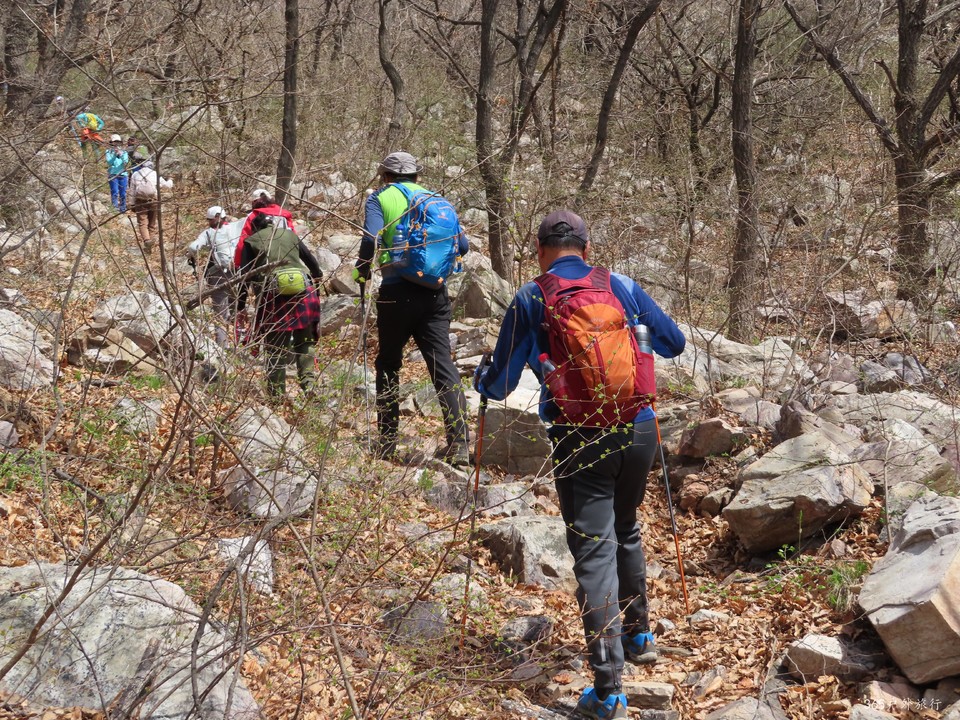 20220413114947_IMG_3323