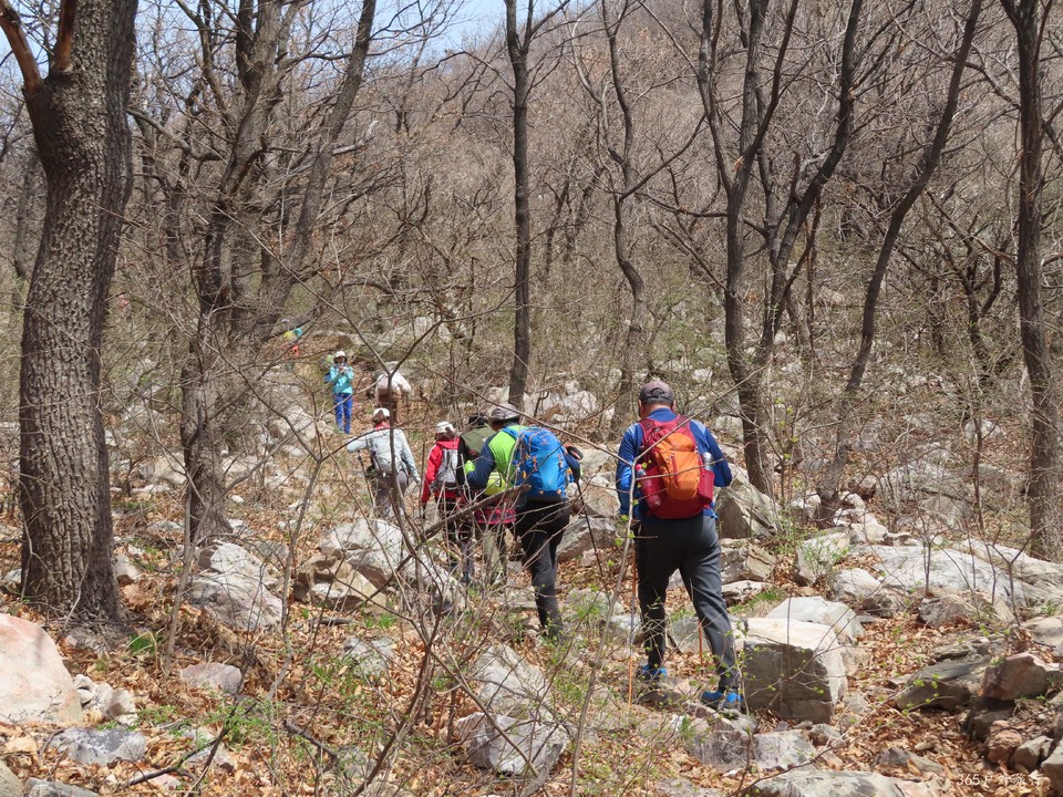 20220413114951_IMG_3324