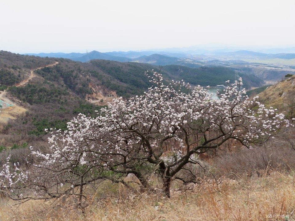 20220413131145_IMG_3326_edit_24776194080072