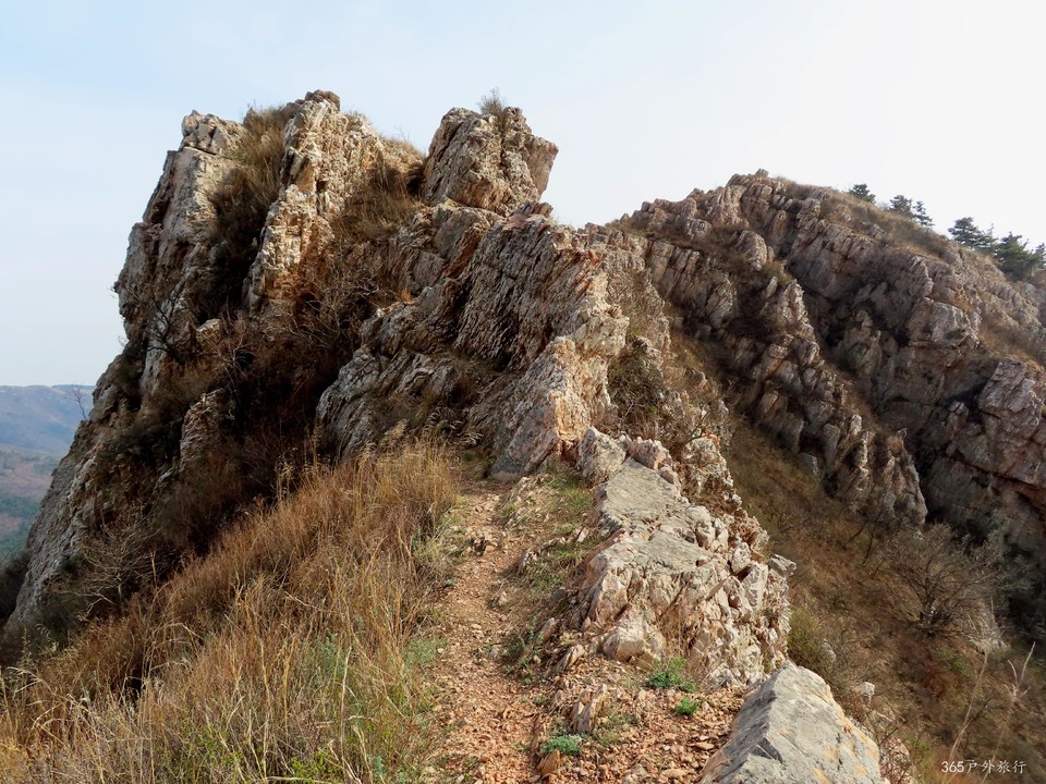 20220413151656_IMG_3363_edit_25165900831054