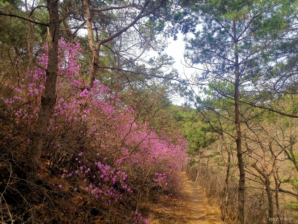 IMG_20220413_095248_edit_27482528036430