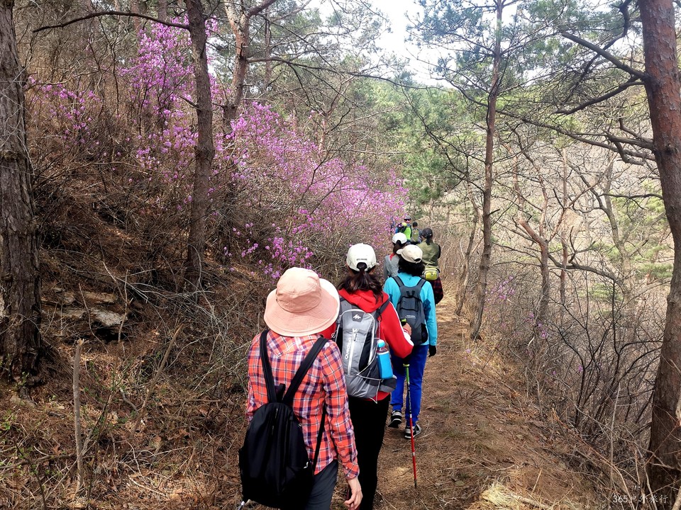 IMG_20220413_095315_edit_27470693648411