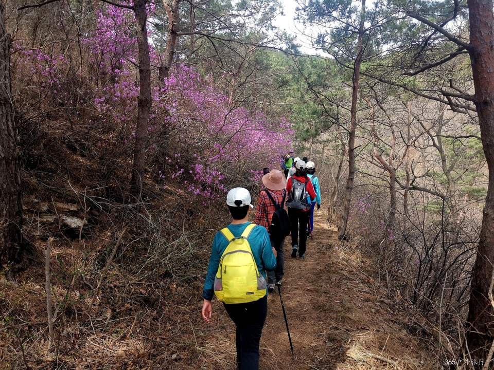 IMG_20220413_095319_edit_27463678084349