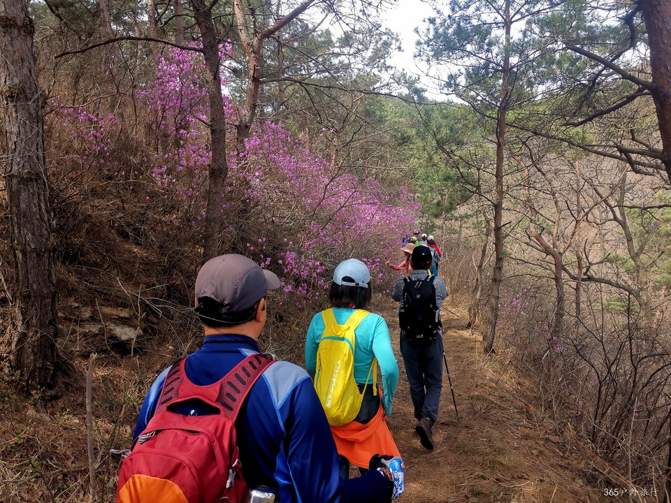 IMG_20220413_095327_edit_27453769110392